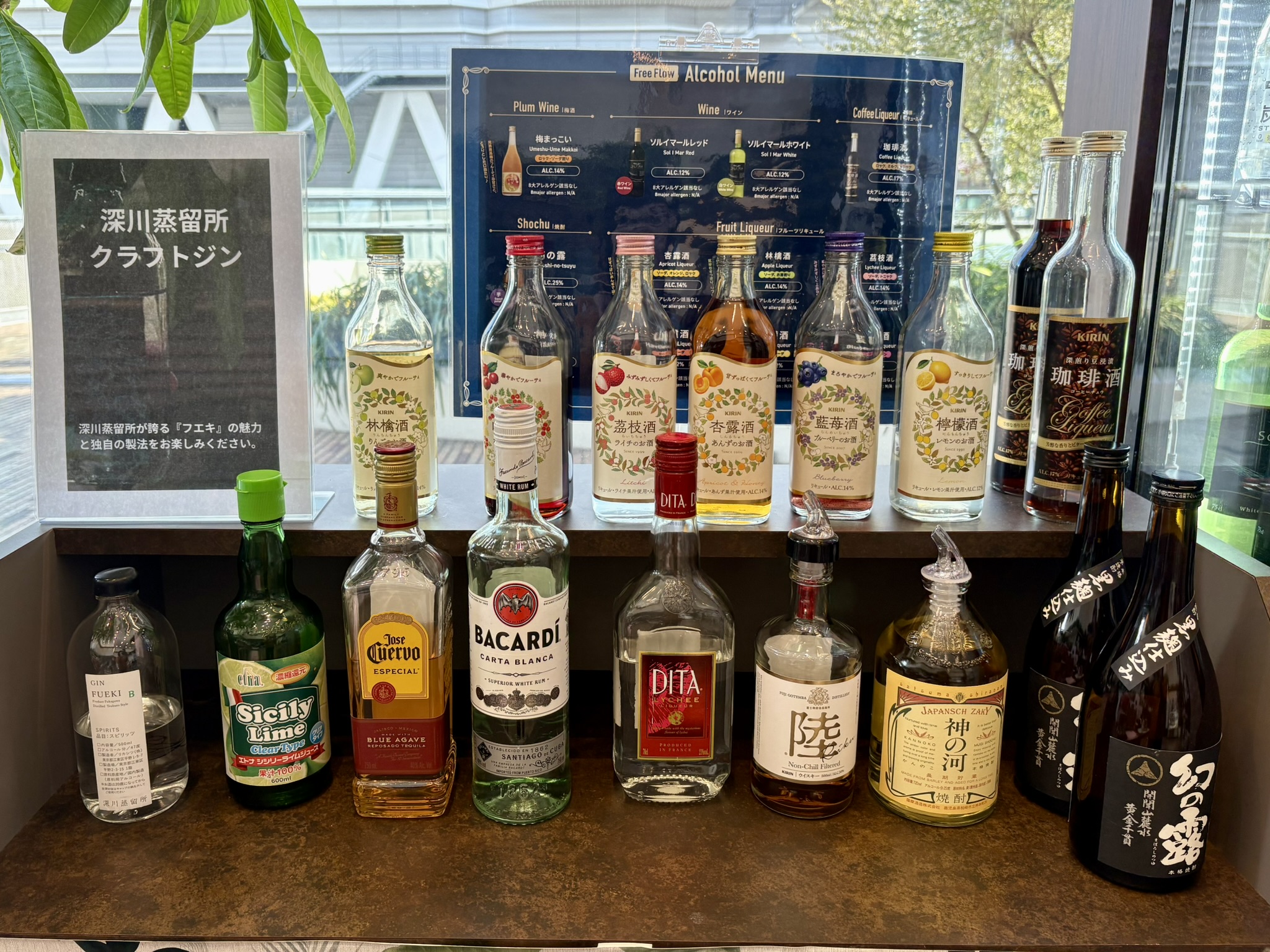 正月三が日ラビスタ東京ベイ宿泊記⑤ラウンジで昼飲み！宿泊者も外来もOKの穴場ラウンジ「OASIS」を体験